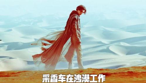 白日之下普通话版,都市光影中的情感纠葛