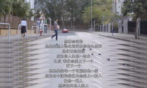 玛嘉烈与大卫系列 丝丝,丝丝情缘，岁月如歌