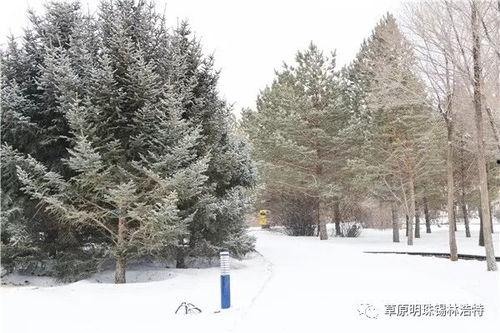 雪落下的声音,雪落下的的呢喃