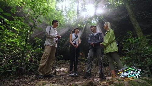 有朋自远方来 第四季,跨越时空的友谊之旅