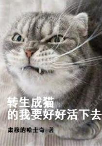 转生成猫的大叔,奇妙的猫生冒险之旅